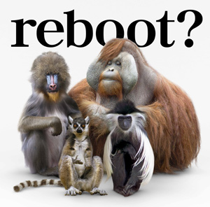 reboot ~不放棄的歌~ / 流星